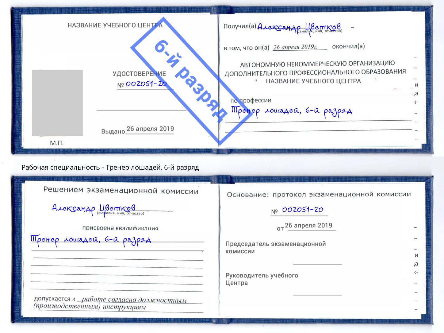корочка 6-й разряд Тренер лошадей Белореченск